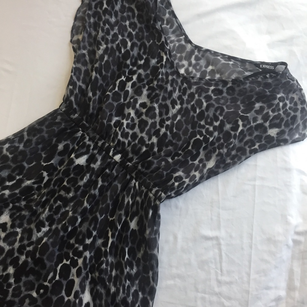 EXPRESS Cheetah Print Dress